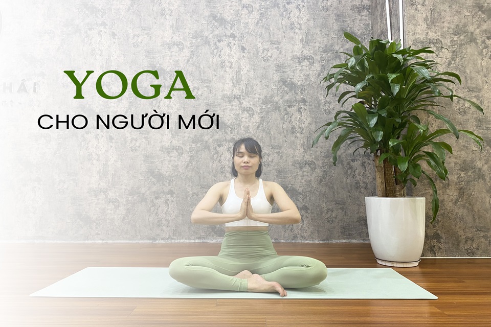 Tại sao nên chọn lớp Yoga PT 1-1 cho người mới bắt đầu?