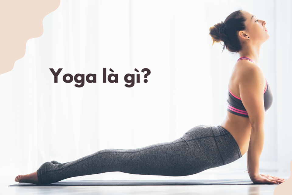 Yoga: Khám phá nguồn gốc và lợi ích toàn diện
